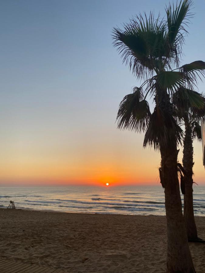 Roof Terrace With Pool, Bikes Included * Torrevieja